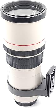 Amazon.com : Canon EF 300mm f/4L IS USM Telephoto Fixed Lens for