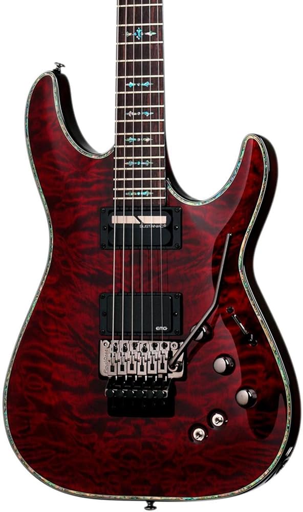 Amazon | Schecter シェクター C-1 Hellraiser FR with Floyd Rose