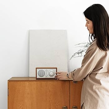 Amazon.com: Tivoli Audio Model One Bluetooth AM/FM Radio (Cherry