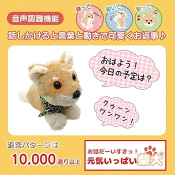 Amazon.co.jp: Broadwatch 喋って 動いて 歌って お話だーいすきっ