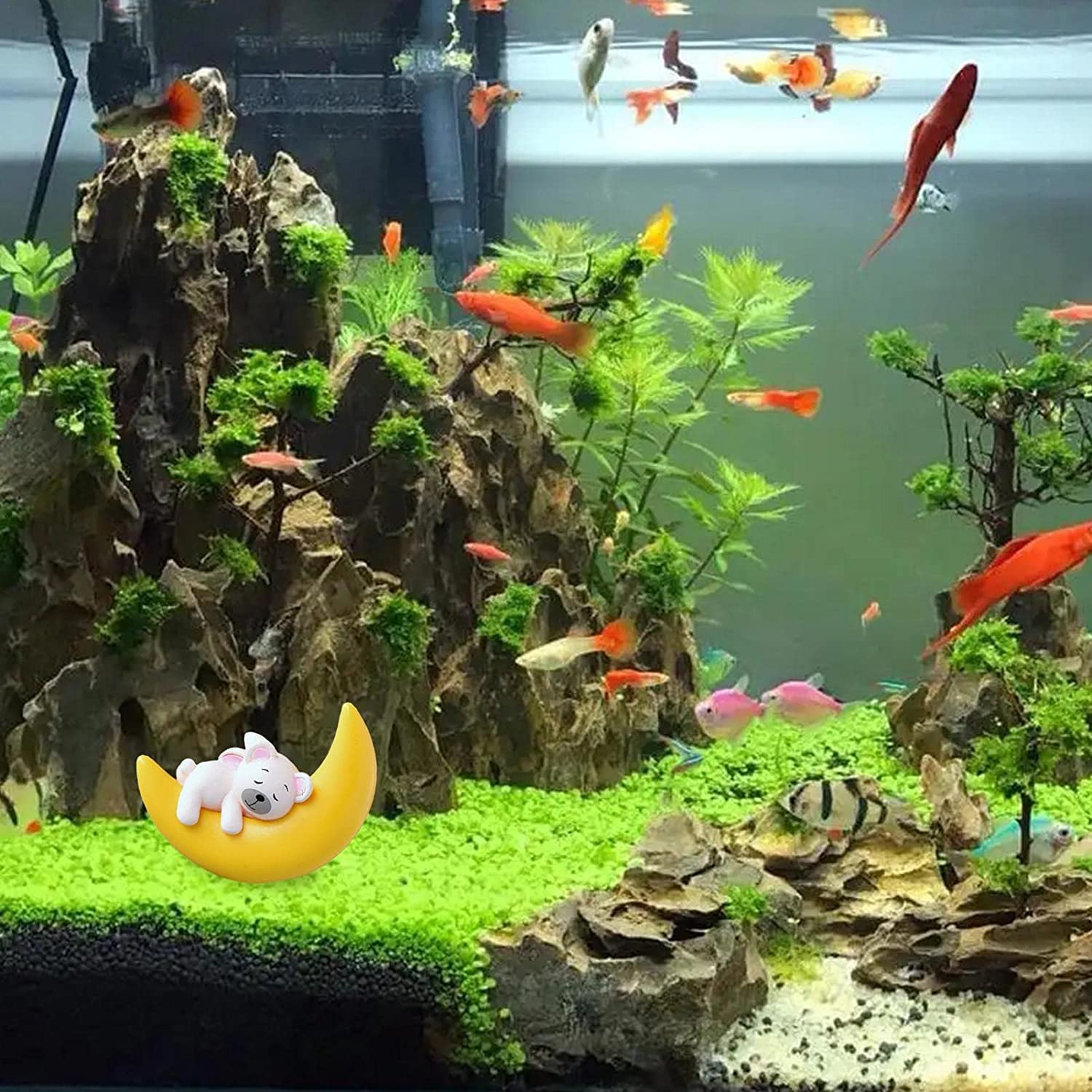 Amazon.co.jp: アクアリウム 水槽 オブジェ 月と熊/ウサギ 装飾