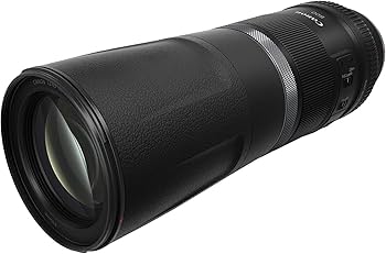 Amazon.com : Canon RF800/11 is STM(N) : Electronics