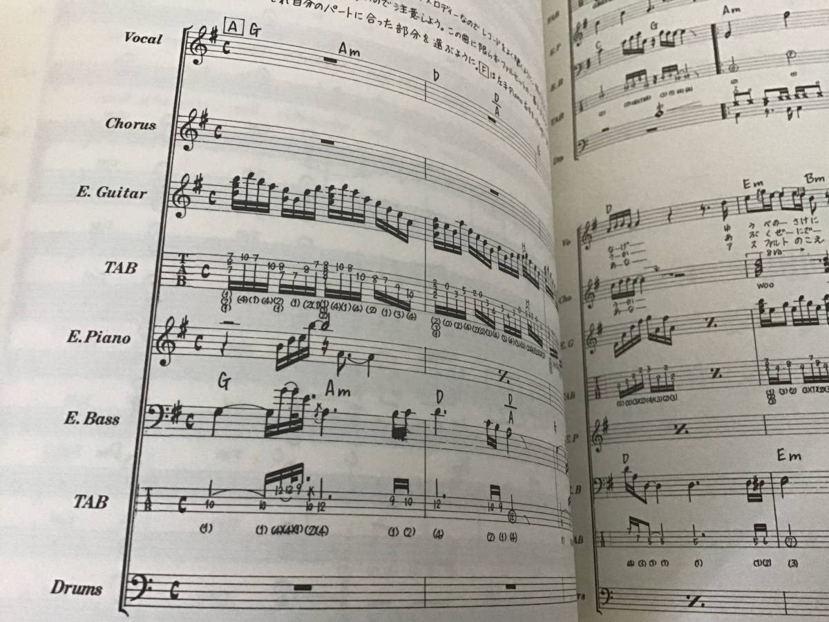 ☆絶版/未使用新古品/楽譜/柳ジョージ/E/タブ譜/バンドスコア ☆絶版