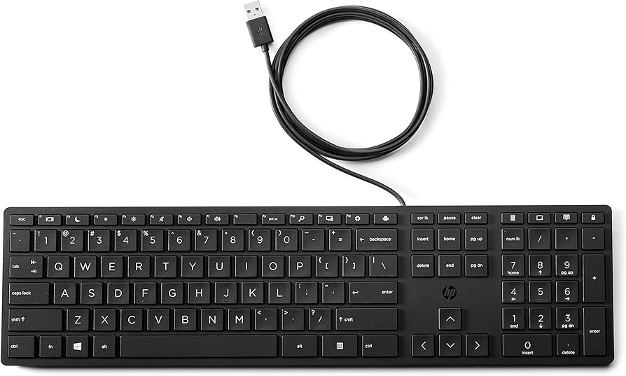 Amazon.com: HP Wired Desktop 320K keyboard : Electronics