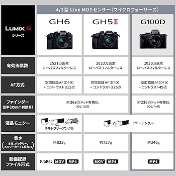 Amazon.com : Panasonic LUMIX G100 4k Mirrorless Camera, Micro Four