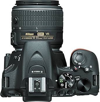 Amazon | Nikon D5500 DX-Format デジタル一眼レフカメラ + AF-P 18