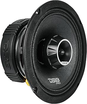 Amazon.com: DS18 PRO-ZT6 6.5-Inch 2 Way Pro Audio Midrange