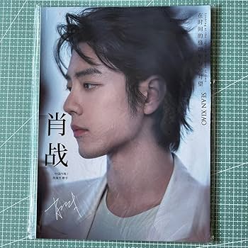 Amazon.co.jp: 陳情令 肖戦 シャオジャン A4写真集 64ページ : おもちゃ