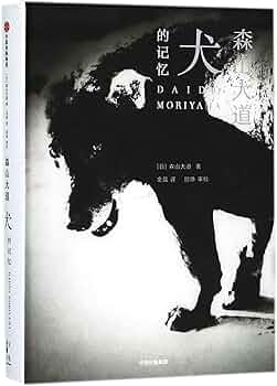 71JWJ9CADLL._AC_UF350,