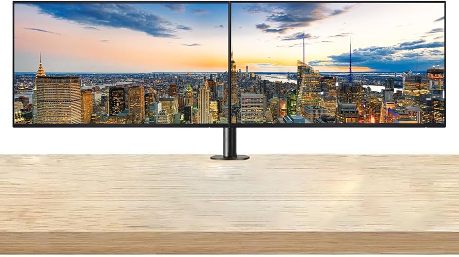 Amazon.com: Dell P2425HE 24-inch 1080P FHD LCD Monitor, 2-Pack