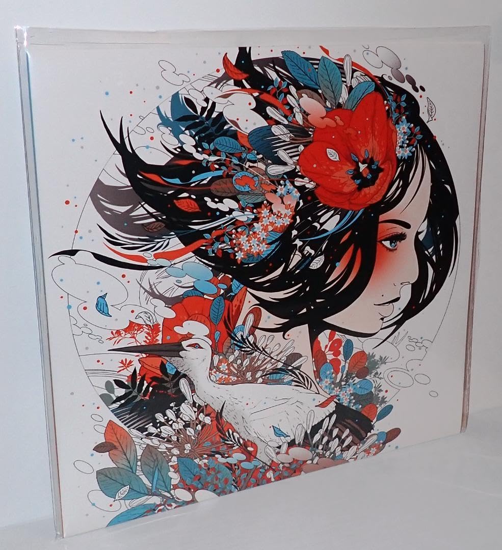 Amazon.co.jp: DJ OKAWARI COMPASS LPレコード レア JAZZY : おもちゃ