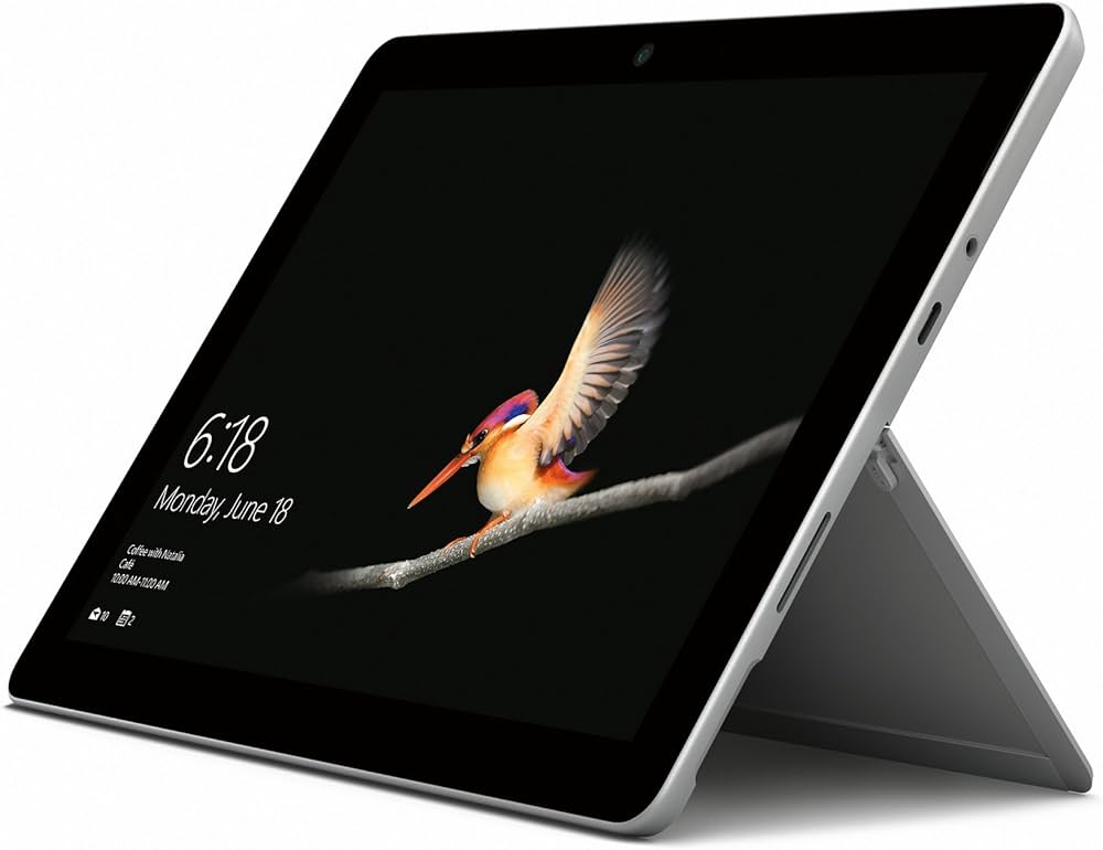 Amazon.co.jp: Microsoft Surface Go (128GB/8GB) MCZ-00014 : Computers