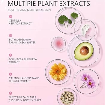 Amazon.com: MIESCHER Facial Moisturizer Tone-up Cream, Sakura