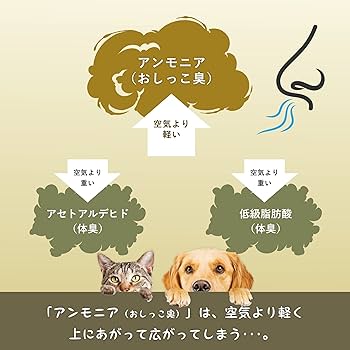 Amazon | サンスター クワイス QAIS-air- 04専用スタンド＋04本体の