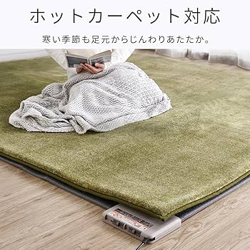 Amazon.co.jp: アイリスオーヤマ カーペット ラグ クッションラグ 185