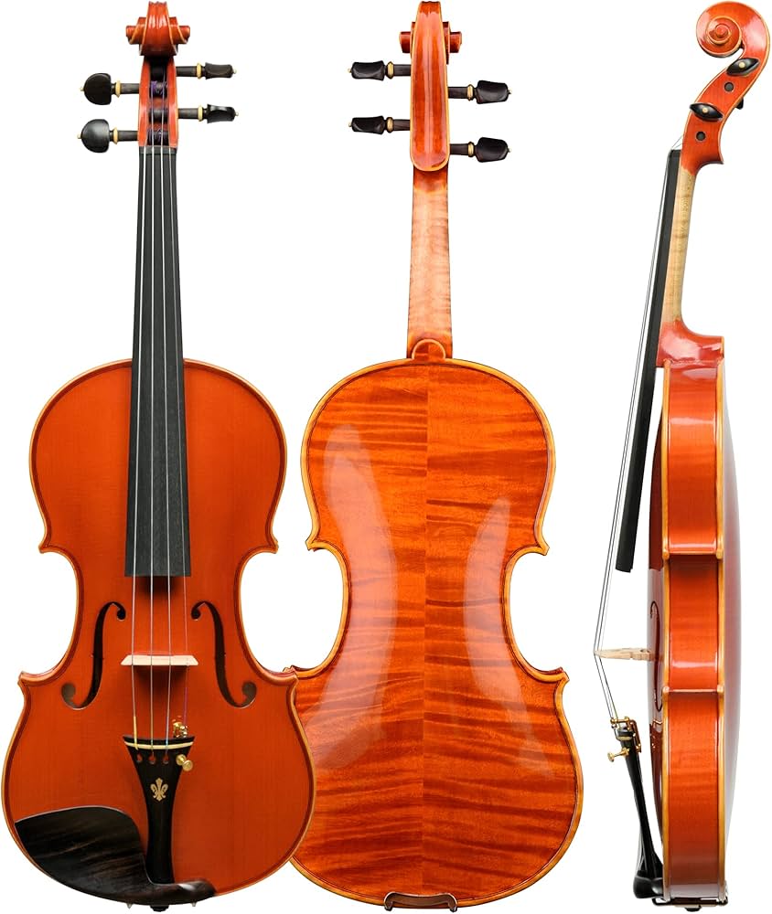 Amazon | Christina v06 バイオリン4/4フルサイズ初心者向け