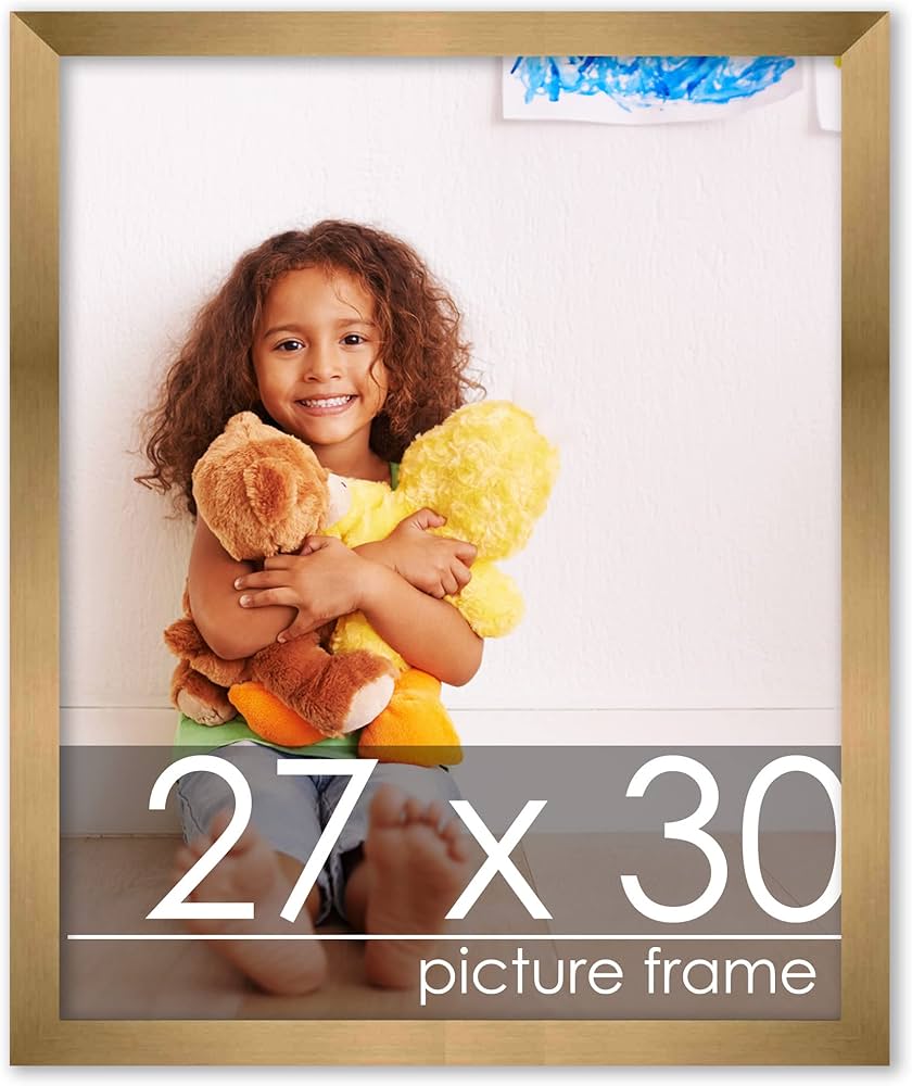 Amazon.com - 27x30 Frame Gold Bronze Modern Minimalist - Modern