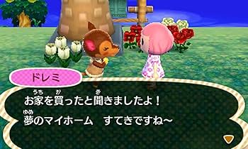 Amazon | ハッピープライスセレクション とびだせ どうぶつの森