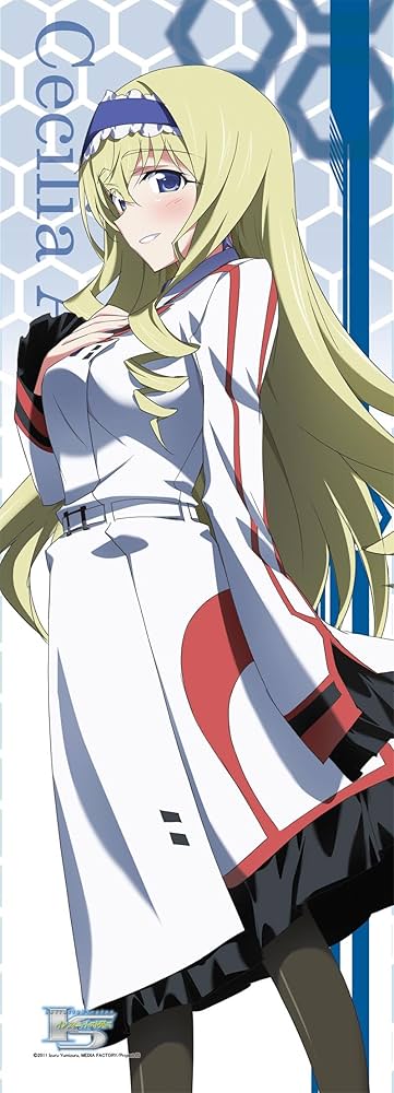 Amazon.co.jp: IS (インフィニット・ストラトス) 等身大タペストリー