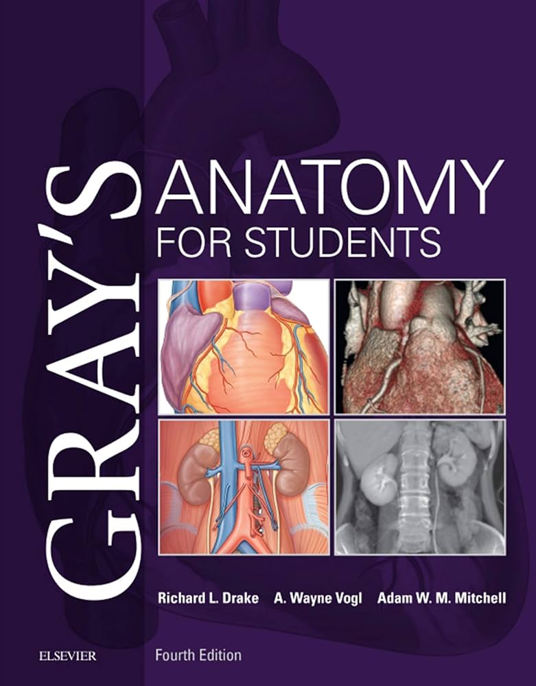 Amazon.com: Gray's Anatomy for Students E-Book eBook : Drake PhD