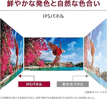 Amazon.co.jp: 【Amazon.co.jp 限定】LG ゲーミング モニター 29WP60G