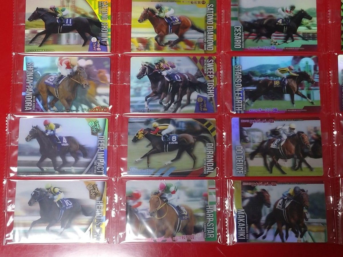 サラブレッドホースコレクション 第2R サイン入りコンプ 競馬カード