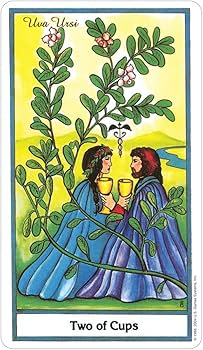 Herbal Tarot Deck & Book Set: A Guide to the Herbal Tarot: Tierra