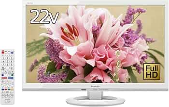 71i5fybpcFL._AC_UF350,