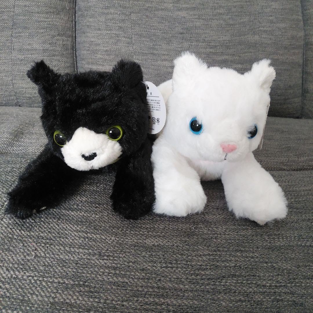 Amazon.co.jp: くつろぎにゃんこ ぬいぐるみ 黒 白 全2種セット