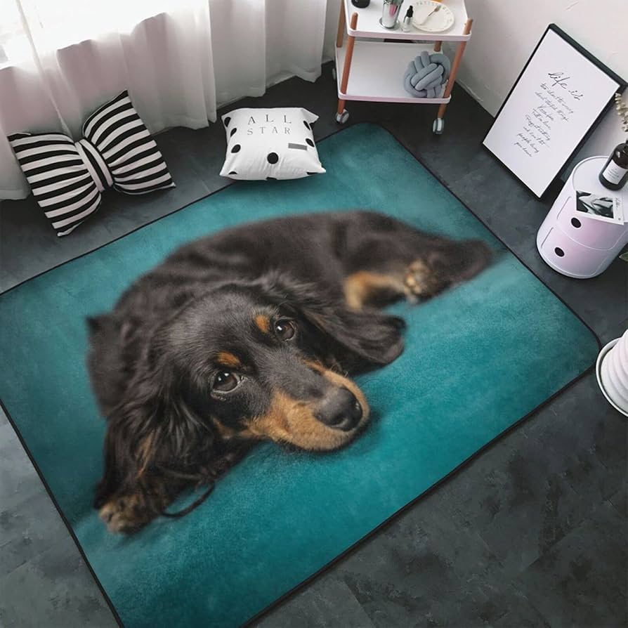 Amazon | ソファーの上でくつろぐ ダックスフンド 犬 カーペット