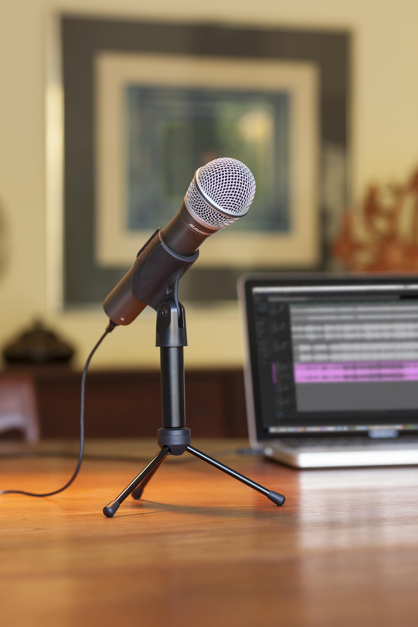 Amazon | SAMSON サムソン オーディオインターフェイス内蔵型