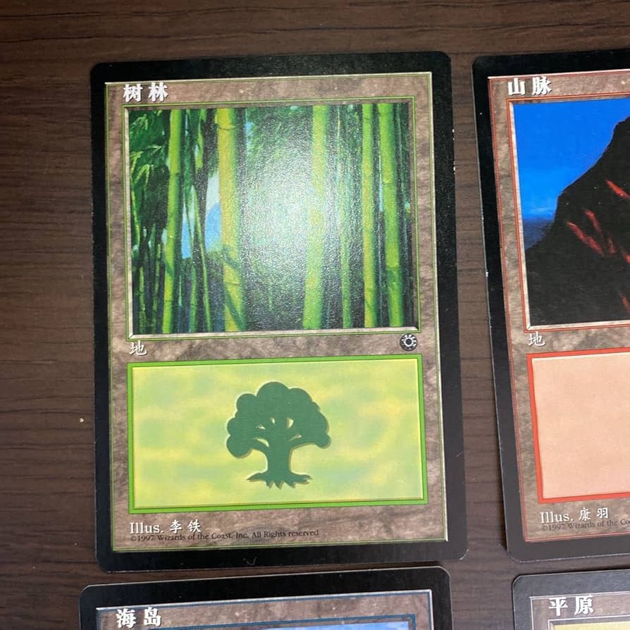 Amazon.co.jp: MTG 簡体字 POR 絵違い 土地 5種セット 中国語版