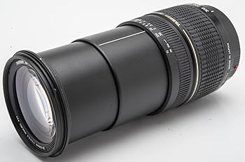 Amazon.com : Tamron AF 28-300mm f/3.5-6.3 XR Di LD Aspherical (IF