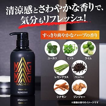 Amazon | サンスター MAGMAS（マグマス）亜鉛導入シャンプー