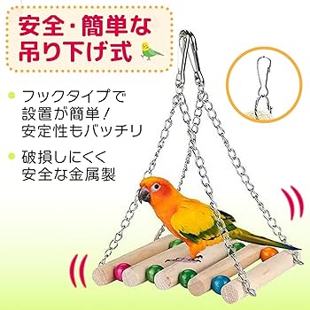 Amazon | UB-Lab. 鳥 おもちゃ 木製 フォージングトイ グッズ セキセイ
