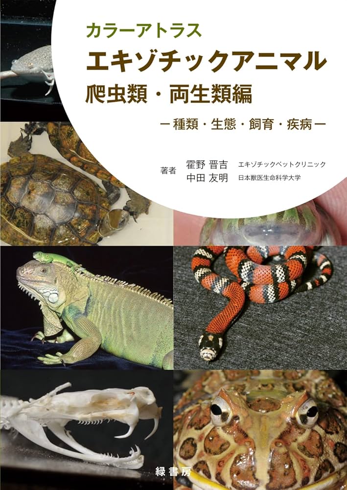 カラーアトラスエキゾチックアニマル 爬虫類・両生類編 | 霍野晋吉
