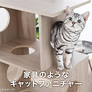 Amazon.co.jp: カインズ(CAINZ) MOKUTA キャットジョイントシェルフ 幅