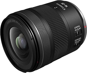 Amazon.com : Canon RF16-28mm F2.8 is STM : Electronics