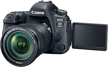 Amazon.com : Canon EOS 6D Mark II with EF 24-105mm IS STM Lens