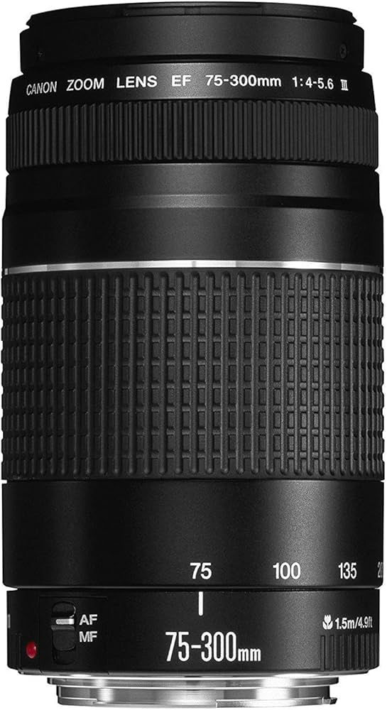 Lente EF 75-300mm F4.0-5.6 III - Objetiva, Canon, Preto | Amazon