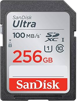 Amazon.com: SanDisk 256GB SD Ultra Memory Card for Nikon Coolpix