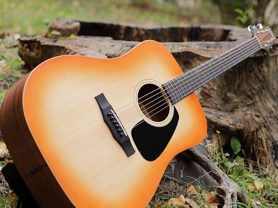 Amazon.co.jp: Morris モーリス Perfomers Edition M-011 HS