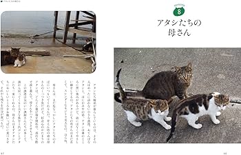しあわせになった猫 しあわせをくれた猫 | 佐竹 茉莉子 |本 | 通販