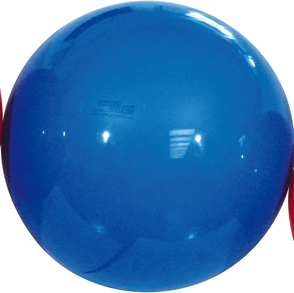 Amazon | ギムニク(GYMNIC) フィジオギムニク 95 青 LP9595 イタリア製