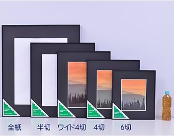Amazon.co.jp: FUJICOLOR 額縁 A300 全紙 アルミ ブラック 39682