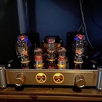 Amazon.co.jp: BOYUURANGE Reisong A50 MKIII Class A 300B 真空管