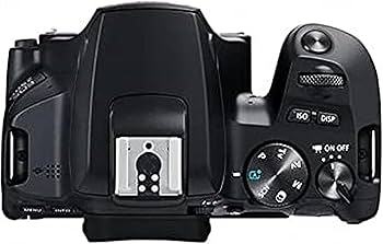 Amazon.com : Canon EOS 250D (Rebel SL3) DSLR Camera w/EF-S 18-55mm