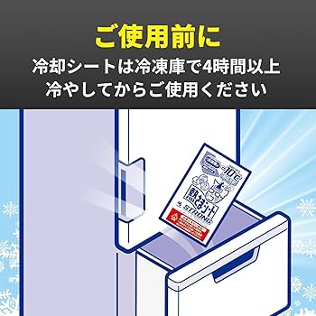 Amazon.co.jp: 小林製薬 熱さまシートストロング 大人用 12枚