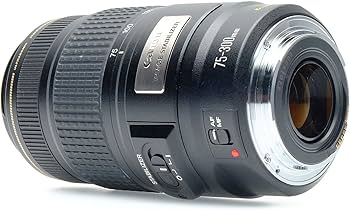 Canon EF 75-300mm f/4-5.6 is USM Telephoto Zoom Lens for Canon SLR