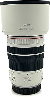 Amazon.com : Canon RF70-200mm F4 L is USM Lens, Telephoto Zoom